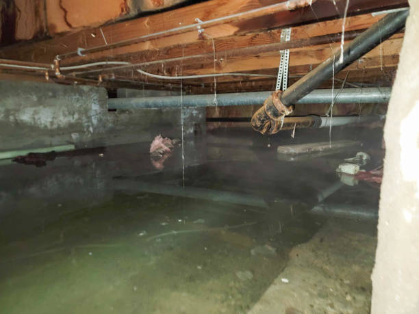 Best Water damage contractors near me  in Lordship, CT