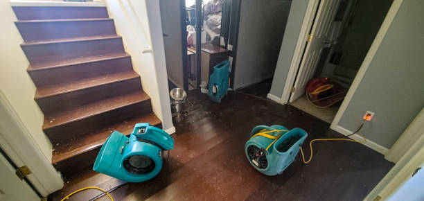 Best 24/7 water damage repair  in Lordship, CT