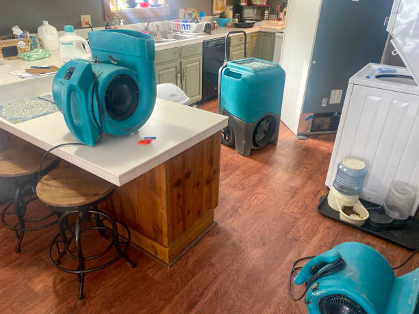 Best Residential water damage restoration  in Lordship, CT
