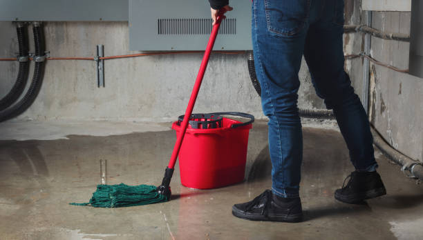 Best Flood damage cleanup  in Lordship, CT