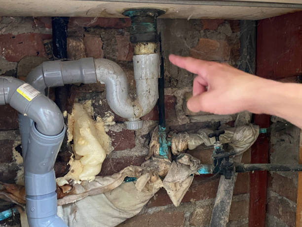 Best Water damage restoration near me  in Lordship, CT