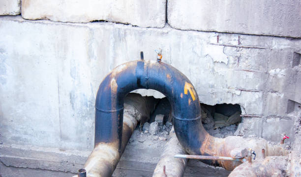Best Water damage cleanup near me  in Lordship, CT