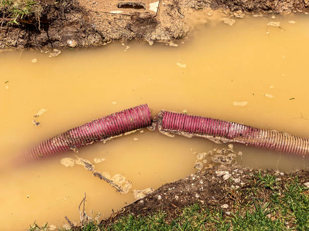 Best Mold removal after water damage  in Lordship, CT