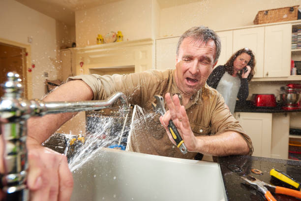 Best Professional water damage repair  in Lordship, CT